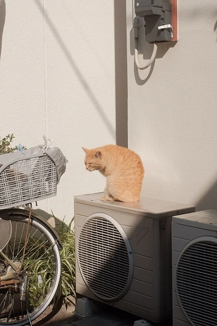 Réduire les bruits d'une pompe à chaleur